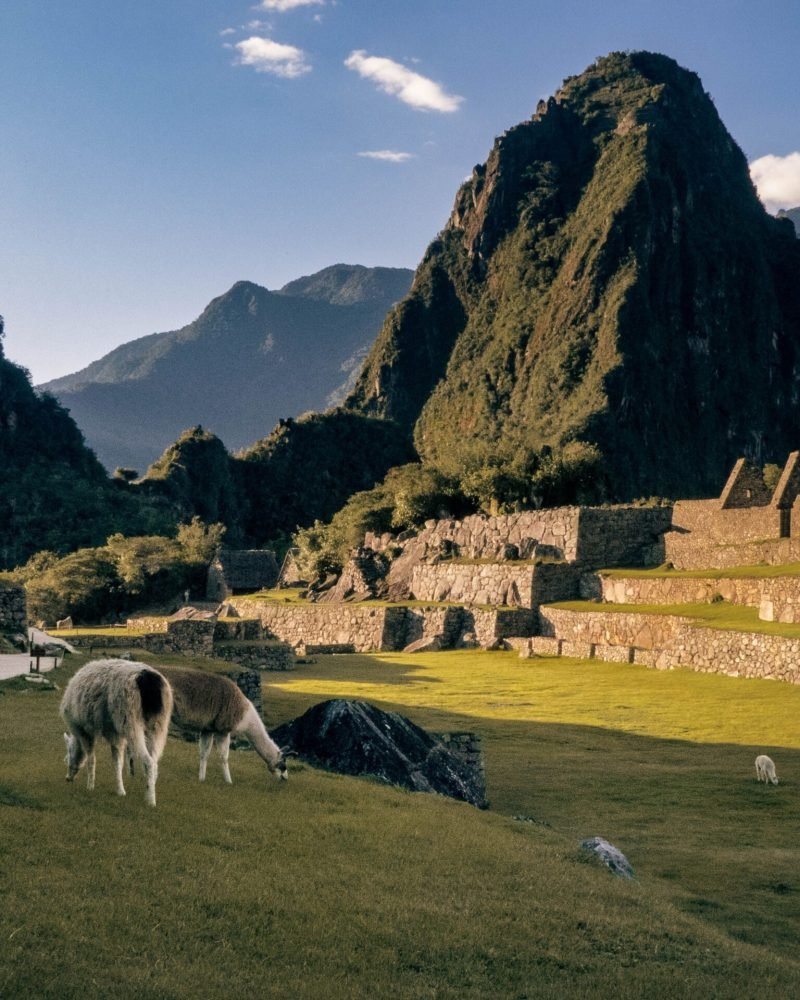 Machupicchu explanada